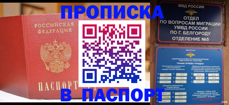 временная регистрация в квартире в Ногинске